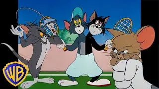 Tom y Jerry en Español 🇪🇸 | Aliados de Tom 🐱❤️ | 