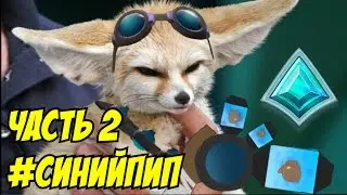 PALADINS: 