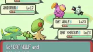 Pokemon Emerald Part 9 (No Commentary)