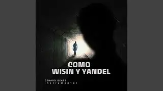 Como Wisin y Yandel (Beat Electroflow)