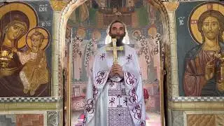 2023 04 09 Улазак Господа Исуса Христа у Јерусалим -Цвијети - о. Василије