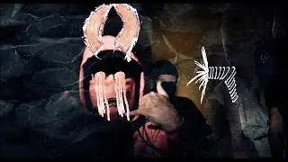 Bagz Shiesty - RockStar  (Official Music Video) | dir. @daygosphotography