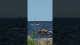 Катер, стаи лебедей, шум залива и бескрайние просторы. Заливино, Калининградская область.