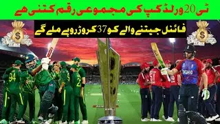 ٹی 20 ورلڈ کپ کی مجموعی رقم کتنی ہے | How much price get the winner team 🏆