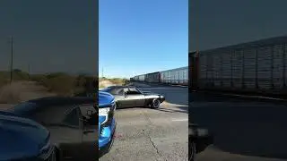 What would you do??