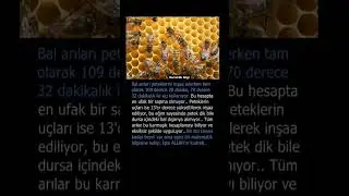 #allha #kuran #ayetlerı #İslam #tevhid  #din #dua #bilgi #uyarı