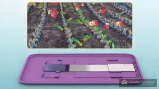 3D Medical Animation - How does a home pregnancy test kit work