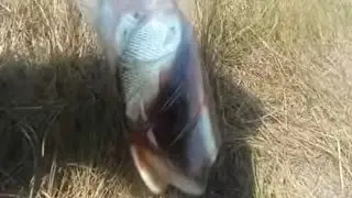 Губ@р@в@н@т Уделила папе время 😉😉😉