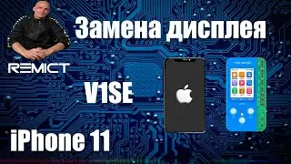 iPhone 11/ Замена дисплея/ Пропись с переносом трутона/ V1SE/