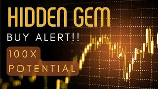 Hidden Gem Alert!! This Coin Can Make You A MILLIONAIRE!