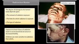 Environmental Issues II