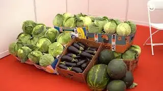 U Bijeljini otvoren poljoprivredni sajam “Interagro”
