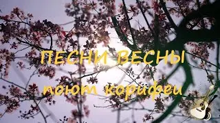 ПЕСНИ ВЕСНЫ поют корифеи бардовской песни