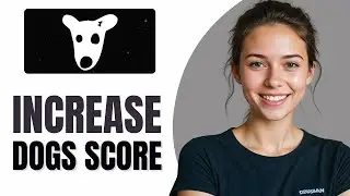 How To Increase Score Dogs Bot In Telegram
