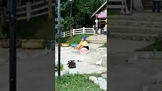 ratusan merpati putih di Asia farm kulim pekanbaru #fypシ #youtubeshort #viral #lucu #shortvideo