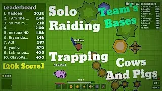 Moomoo.io - Solo Server Takeover | Trapping Cows/Pigs and Raiding Bases | [20k Score]