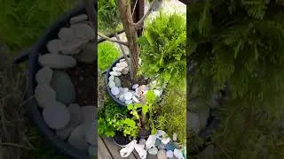 23 июня 2023 АДЛЕР СОЧИ село Черешня +25 тепла. Погода хорошая 🌞