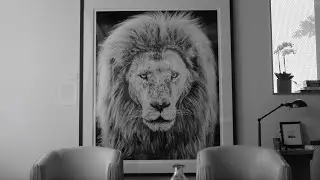 David Yarrow | Christopher Collections