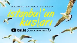 İSTANBUL'UN KUŞLARI - İSTANBUL ORİJİNAL BELGESELİ - EKREM İMAMOĞLU