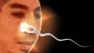 현타가 온 촉촉이