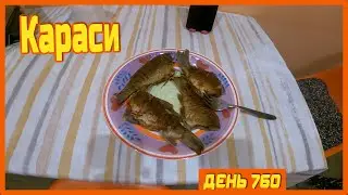 ||ДЕНЬ 760|| Скакалка. Ящерица. Грибы. Ветки. Караси. Пресс.
