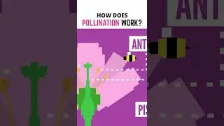 How Does Pollination Work?