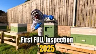 My Bees Survived The Winter. How To Inspect A Beehive