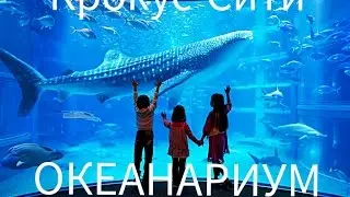 Крокус Сити Океанариум/Попали в джунгли/Мы среди акул🙅/Держу в руках змею