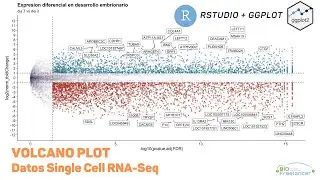 Volcano Plot en R con datos Single Cell - RGym Temporada 1 Episodio 11