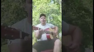 Elvis Presley I can help falling in love cover on guitar 🎸
