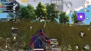 The Streamer Live Stream