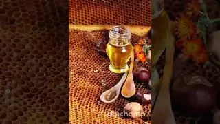 Untitled video