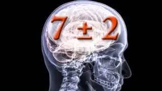 The Mind Body Connection