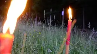 Glastonbury Green Fields 2016