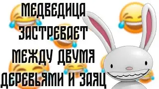 МЕДВЕДИЦА застревает между двумя деревьями и ЗАЯЦ...| ПОШЛЫЕ АНЕКДОТЫ