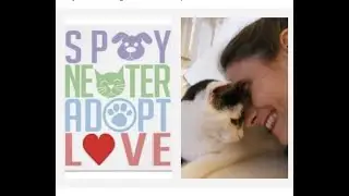 (Trailer) Feral Cats Out Of Control In Westchester