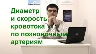 Скорость кровотока и диаметр сосудов шеи (позвоночных артерий)