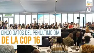 COP16: los puntos más importantes en el penúltimo día de la cumbre de biodiversidad | El Espectador
