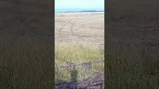 Нижнекамский район уборка 2024