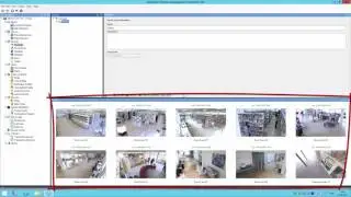 Navigate the Management Client