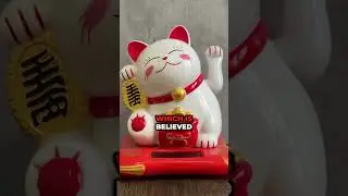 Why Shops in Japan Love Sitting Cats