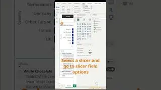 Dynamic Slicers using Field Parameters