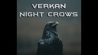 Night Crows | Haciendo Dungeon con 184 de presicion