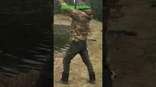 Дикие карпы