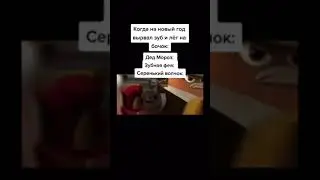 Дед Мороз,зубная фея,серый волчёк,самый жоский боевик 