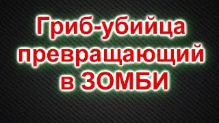 Гриб-убийца Превращающий в ЗОМБИ | Всякое Интересное