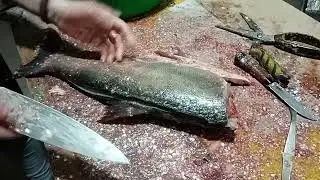 21 кг рыбы превращаем в чистое филе! Все тонкости разделки