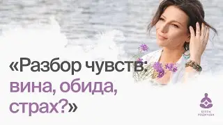 Разбор чувств: вина, обида, страх?