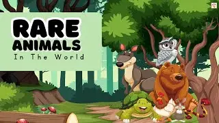 Rare Animals In The World | Rare animals | Endangered Animals | rare animals for kids #kidslearning