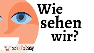 The eye - How we see!